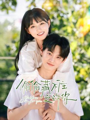 偷偷藏不住之许你(全集)