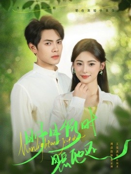 明月何时照他还(全集)