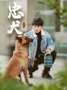 忠犬（短剧版）(全集)